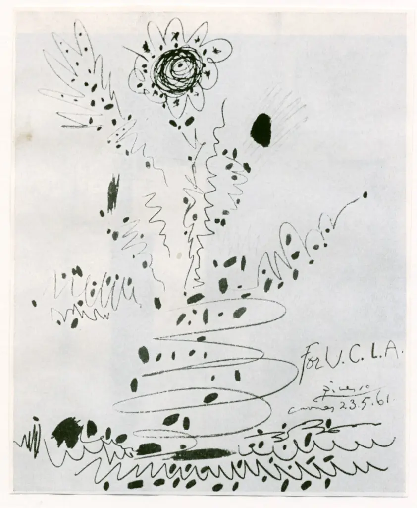 Anonimo , Picasso, Pablo - sec. XX - Fiore , fronte