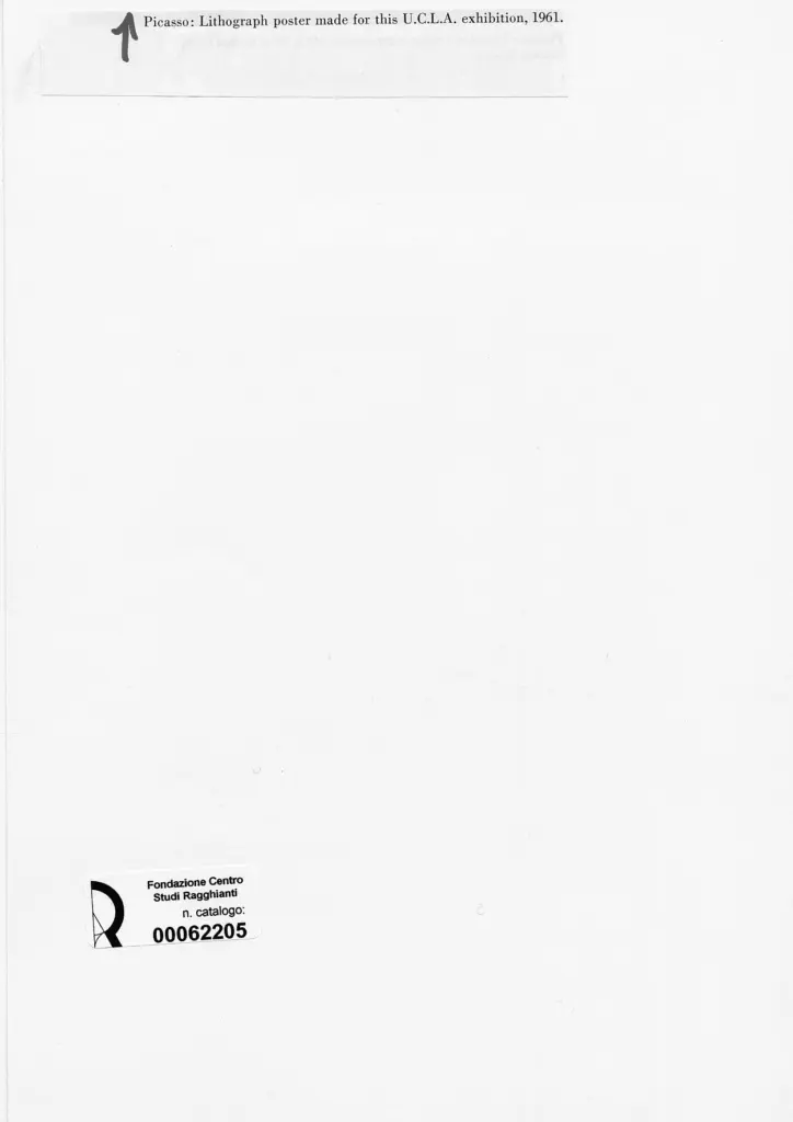 Anonimo , Picasso, Pablo - sec. XX - Fiore , retro