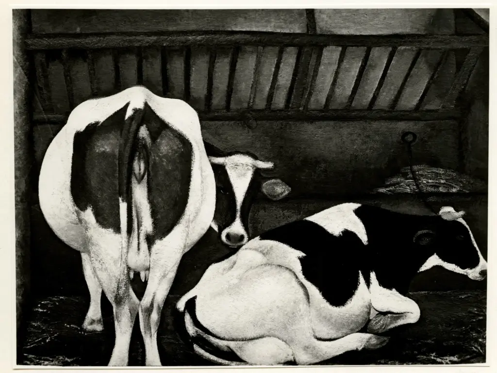 A.F.I. Agenzia Fotografica Industriale , Villa Bassois, Miguel - sec. XX - Stalla , fronte