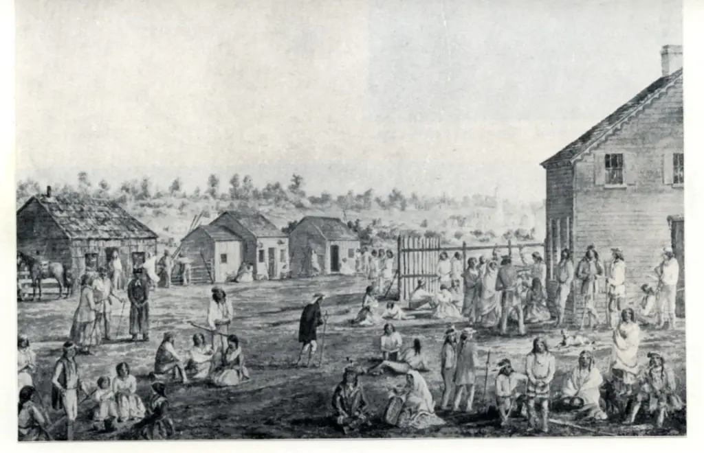 Anonimo, Anonimo , fronte