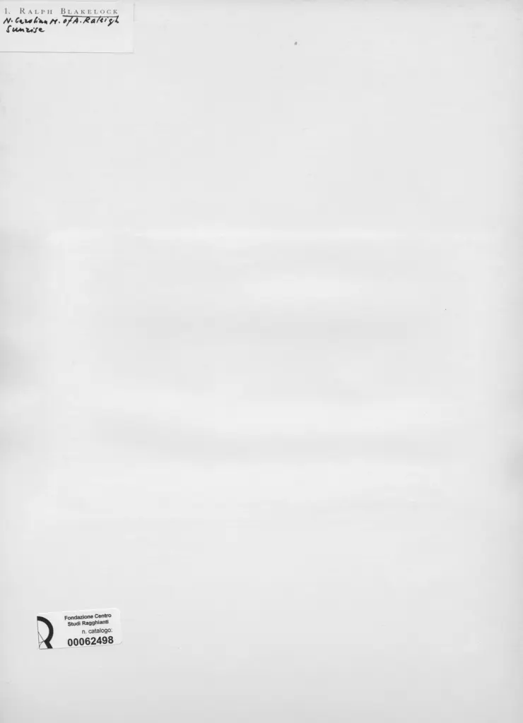 Anonimo , Blakelock, Ralph - sec. XIX - Sunrise , retro