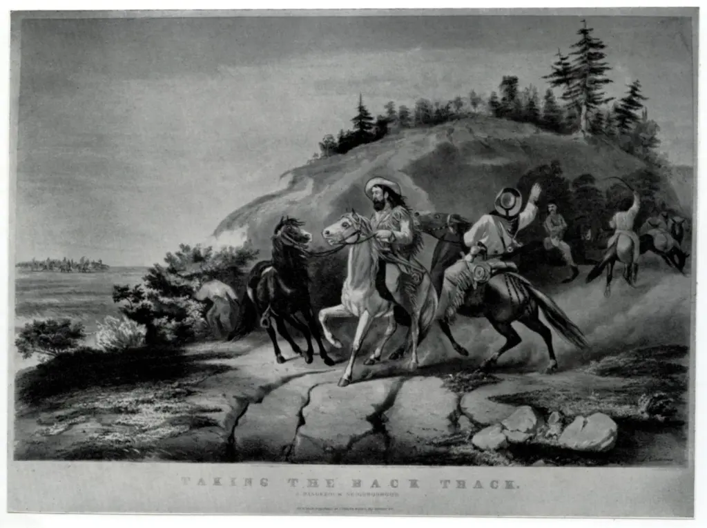 Anonimo, Anonimo , fronte