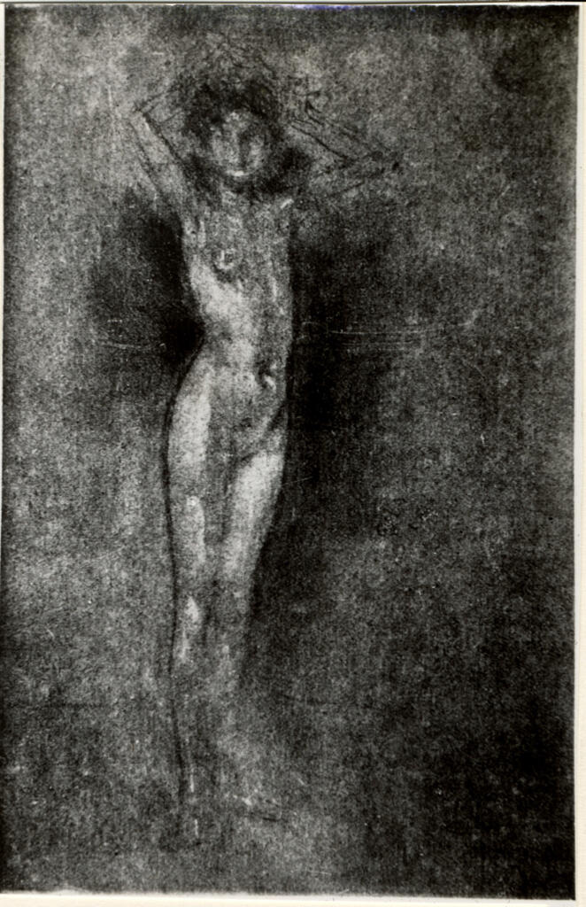 Anonimo , fronte