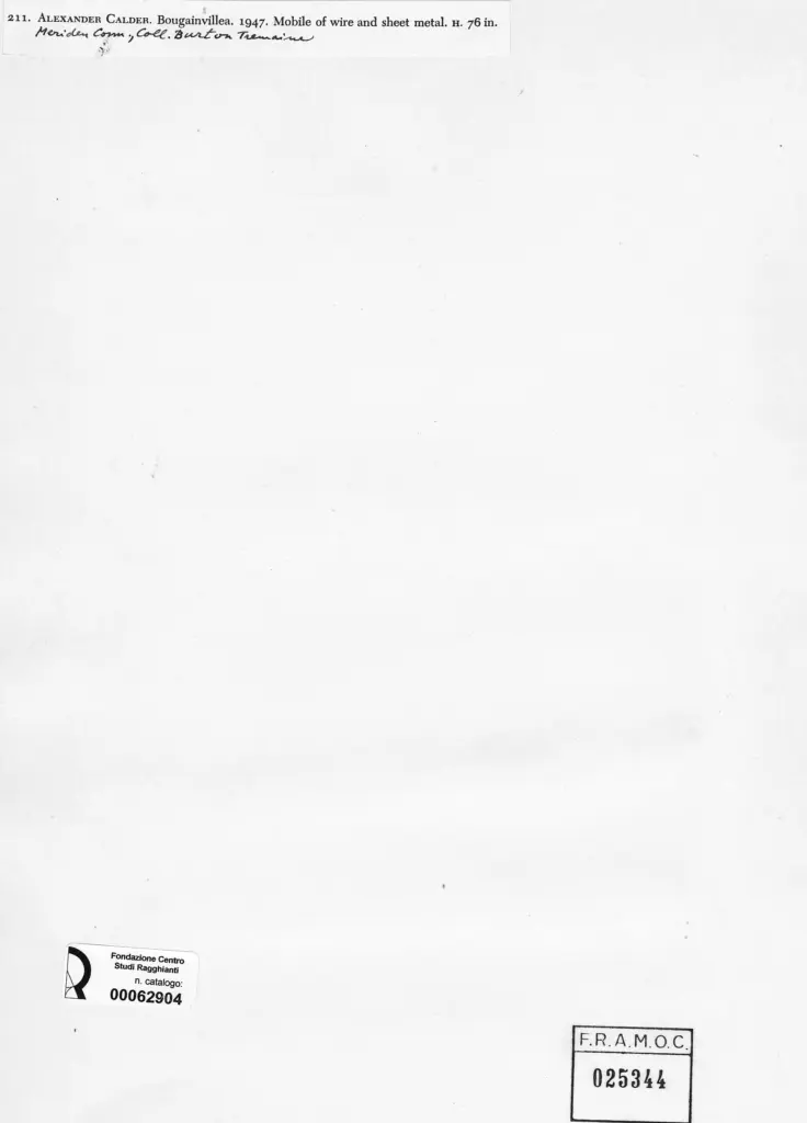 Anonimo , Calder, Alexander - sec. XX - Bugainvilllea , retro