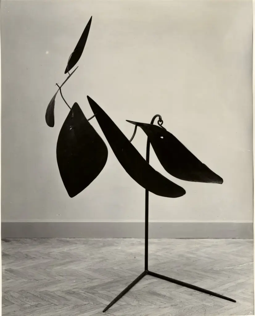 Anonimo , Calder, Alexander - sec. XX - Cinque foglie , fronte