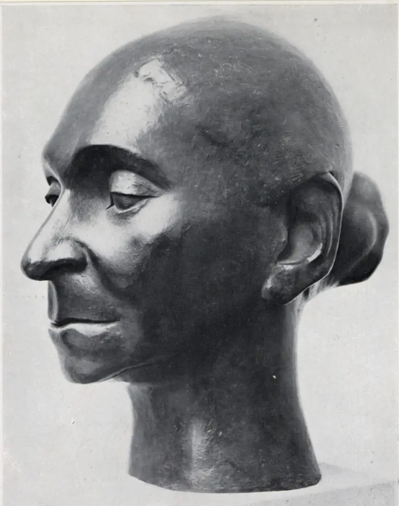 Callery, Mary , Portrait de "Puma"