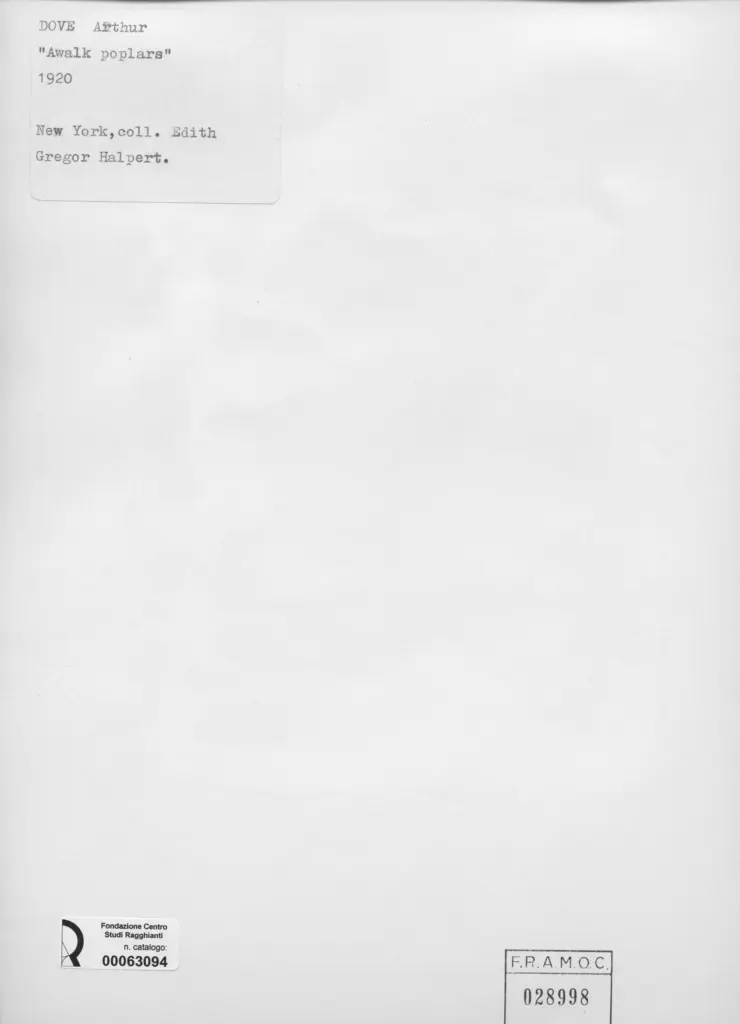 Anonimo , Dove, Arthur G. - sec. XX - Awalk poplars , retro