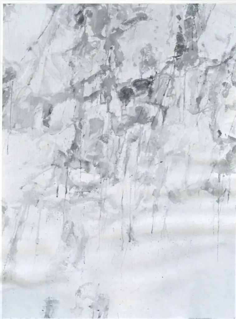 Anonimo, Anonimo , fronte