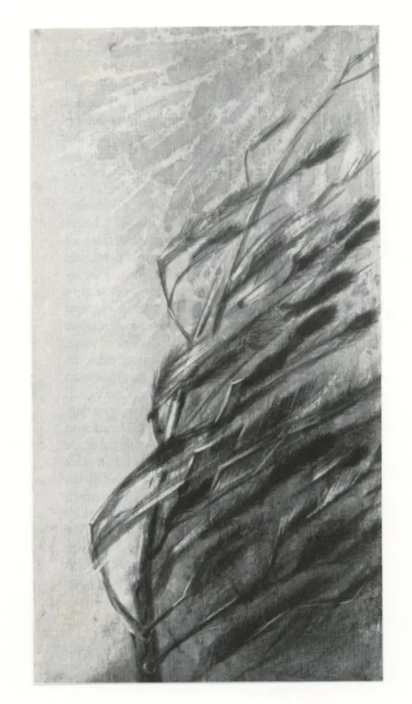 Anonimo , Graves, Morris - sec. XX - Resilient Young Pine , fronte