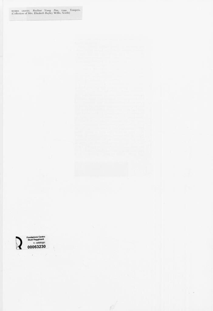 Anonimo , Graves, Morris - sec. XX - Resilient Young Pine , retro