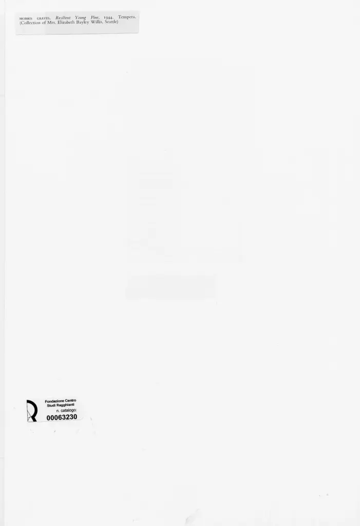 Anonimo , Graves, Morris - sec. XX - Resilient Young Pine , retro