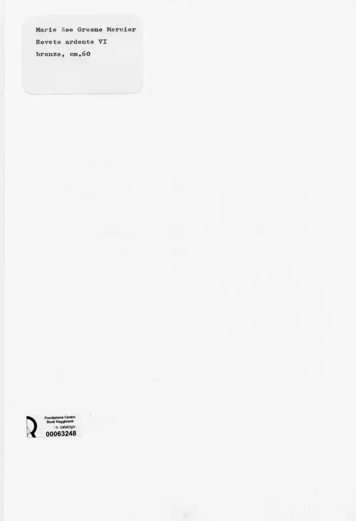 Anonimo, Anonimo , retro