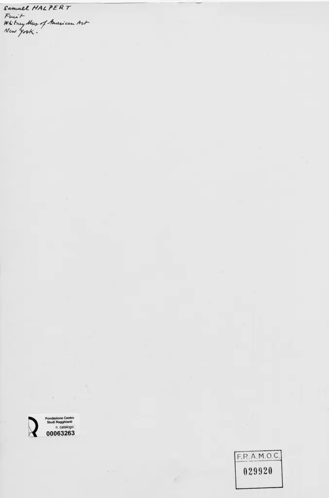 Anonimo , Halpert, Samuel - sec. XX - Fruit , retro