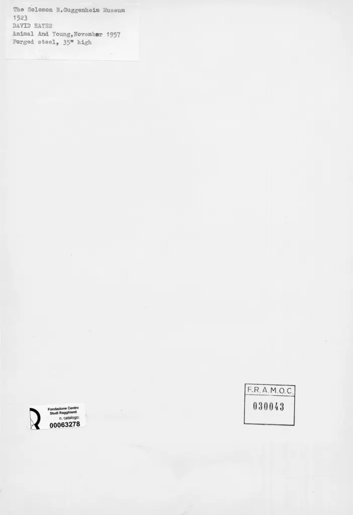 Anonimo , Hayes, David - sec. XX - Animal and Young , retro