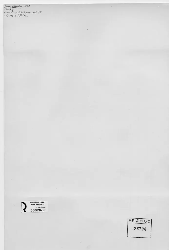 Anonimo , Marin, John - sec. XX - , retro