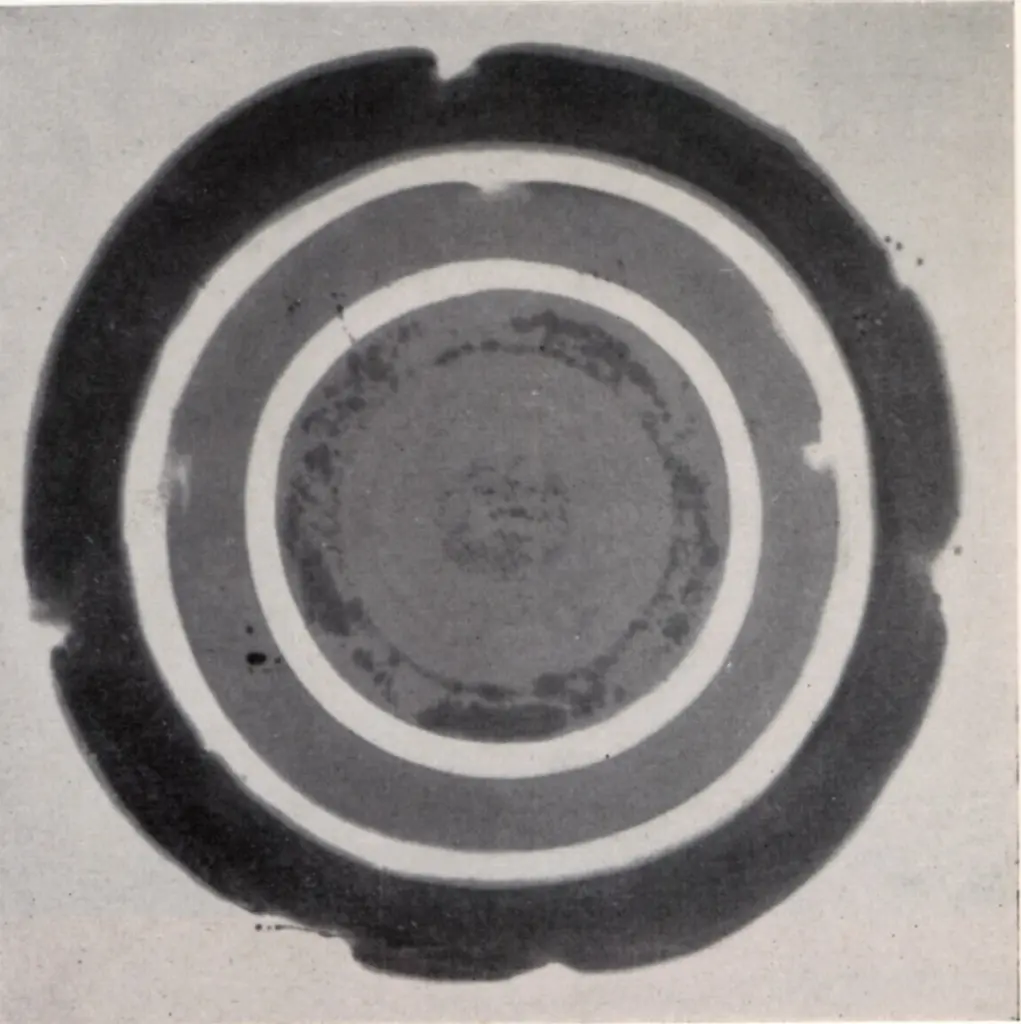 Anonimo, Anonimo , fronte