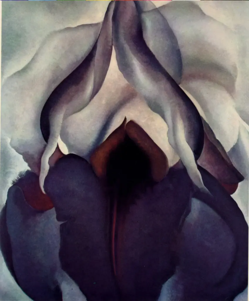 O'Keeffe, Georgia , Ireos Blu - , Ireos Blu -