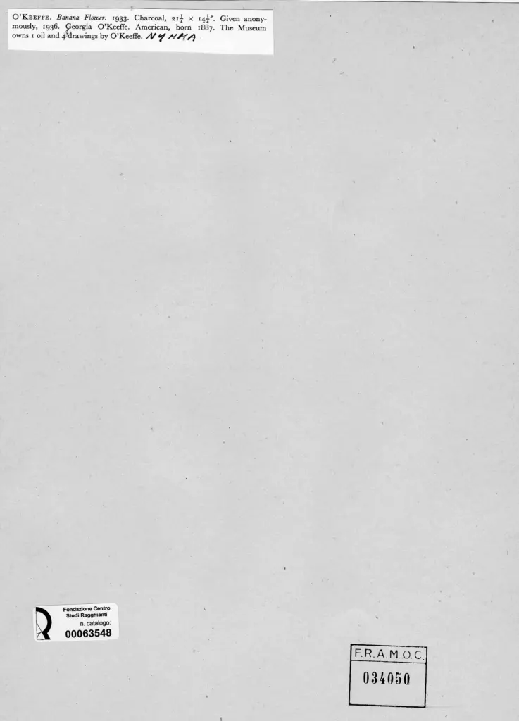 Anonimo , O'Keeffe, Georgia - sec. XX - Banana Flowers , retro