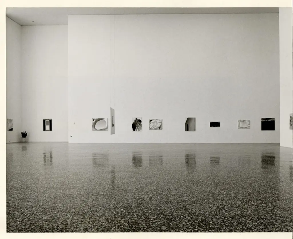 Anonimo , O'Keeffe, Georgia , fronte