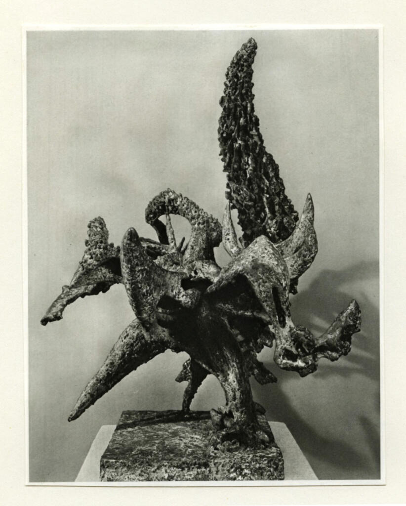 Anonimo , fronte