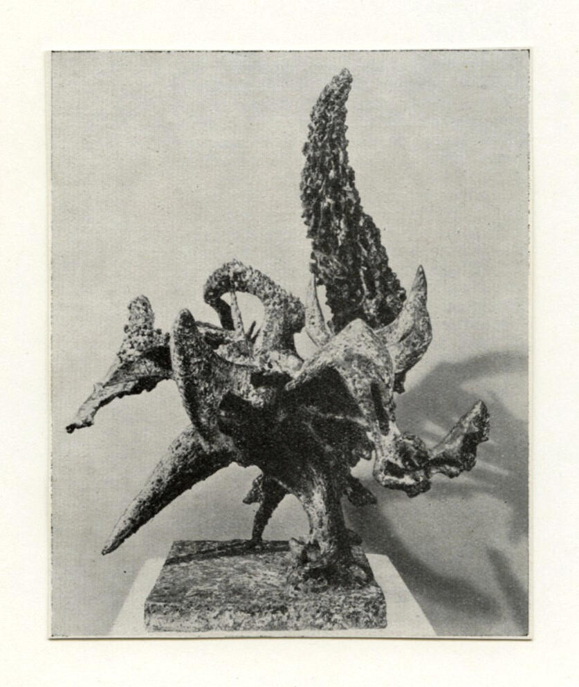 Anonimo , fronte