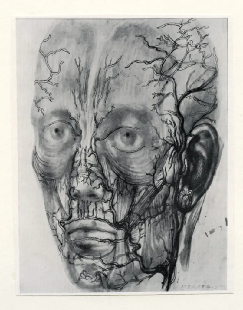 Anonimo, Anonimo , fronte