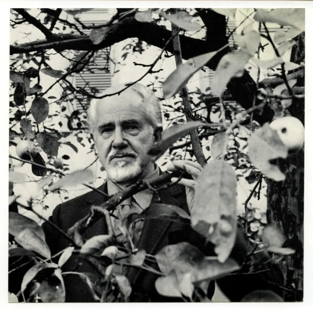 Anonimo, Anonimo , fronte