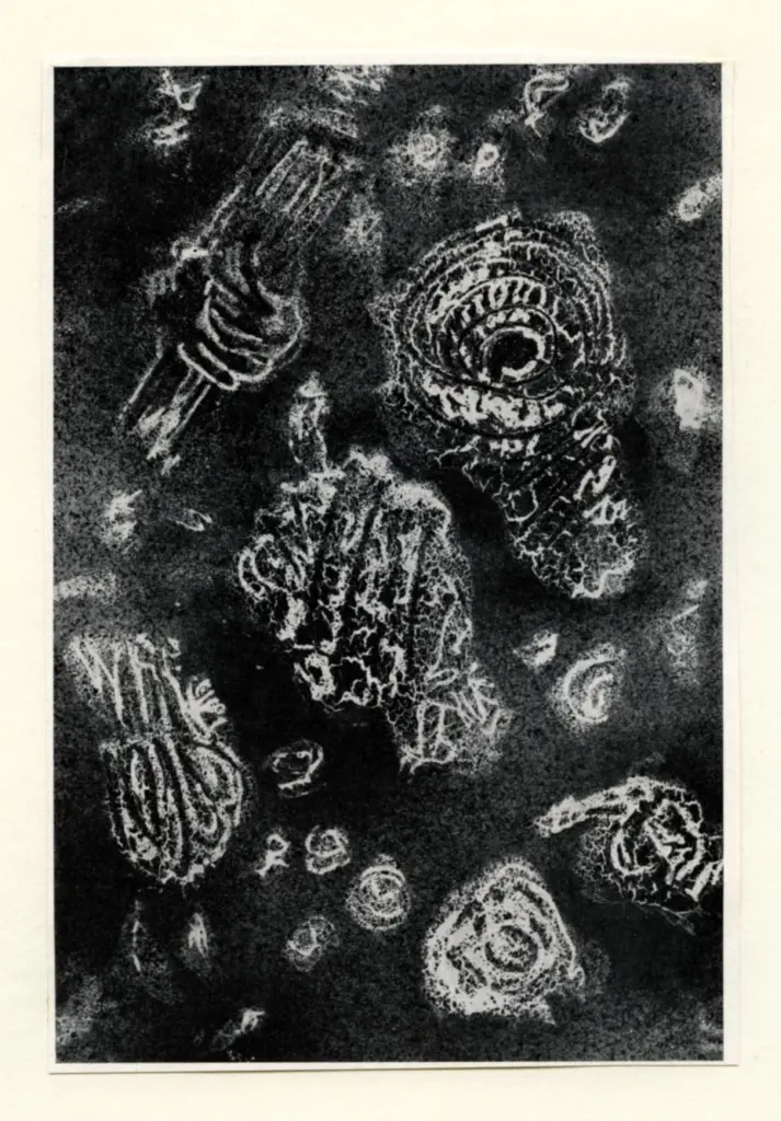 Anonimo, Anonimo , fronte