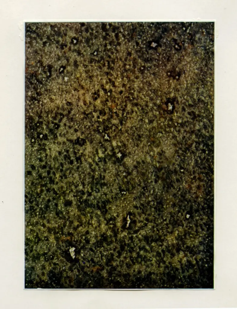 Anonimo , Tobey, Mark - sec. XX - Automne