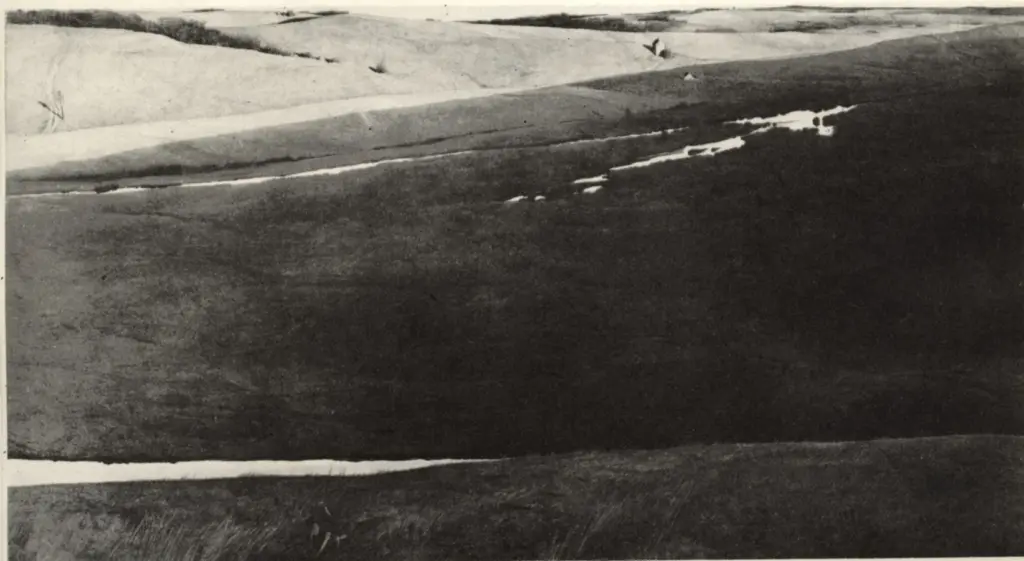 Anonimo, Anonimo , fronte