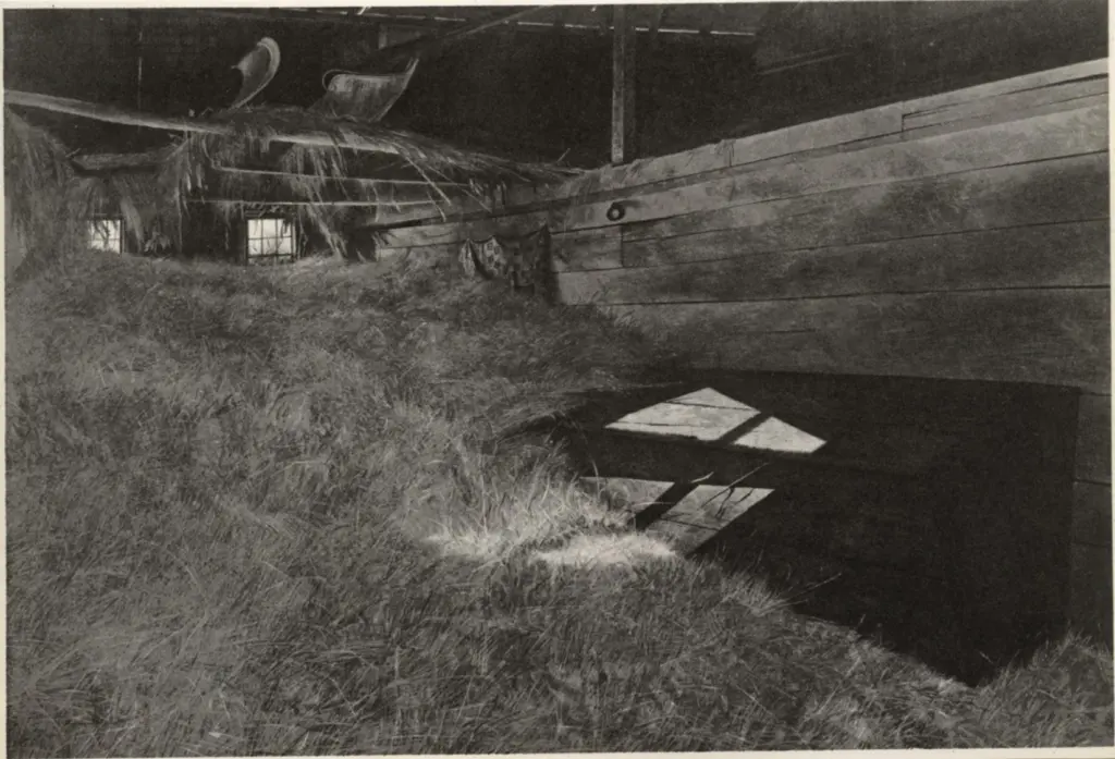 Anonimo, Anonimo , fronte