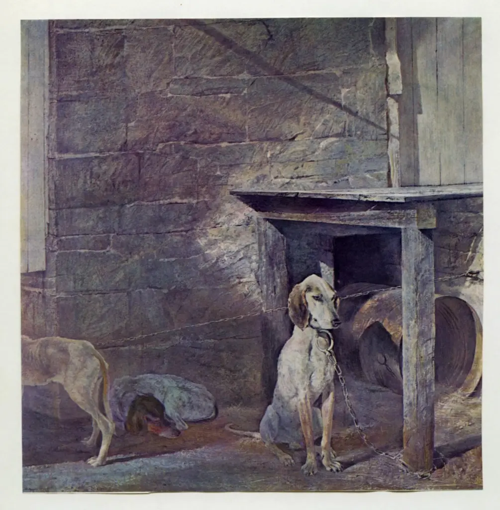 Anonimo , Wyeth, Andrew - sec. XX - Cani , fronte