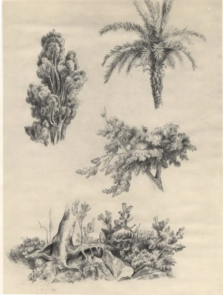 Anonimo, Anonimo , fronte