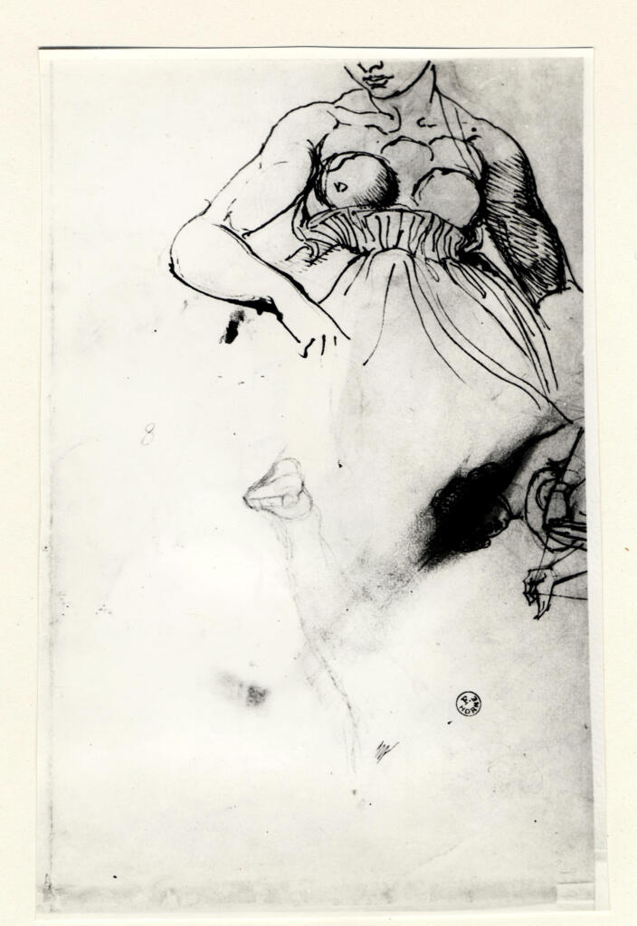Anonimo , fronte