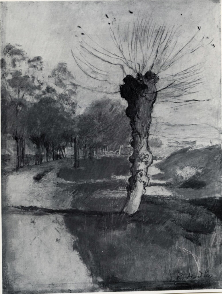 Anonimo , Hodler, Ferdinand - sec. XIX - Weidenbaum im Vorfrühlig , fronte