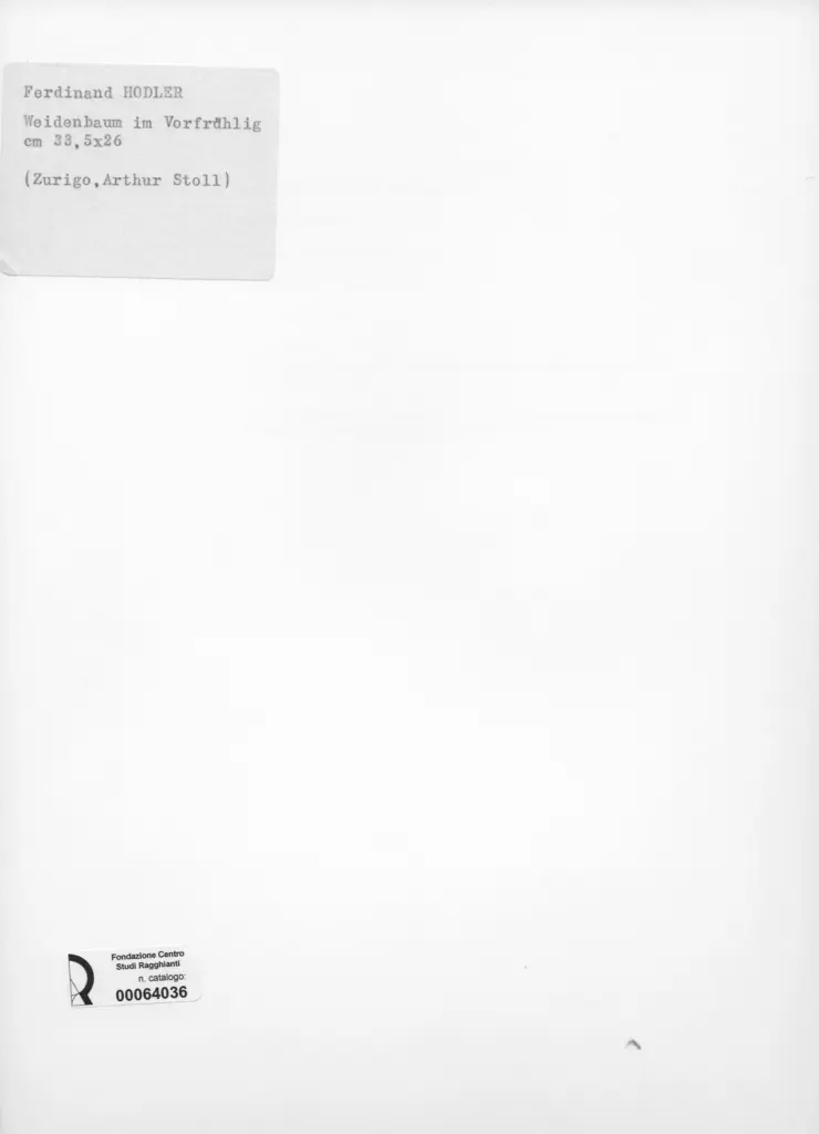 Anonimo , Hodler, Ferdinand - sec. XIX - Weidenbaum im Vorfr&uuml;hlig , retro