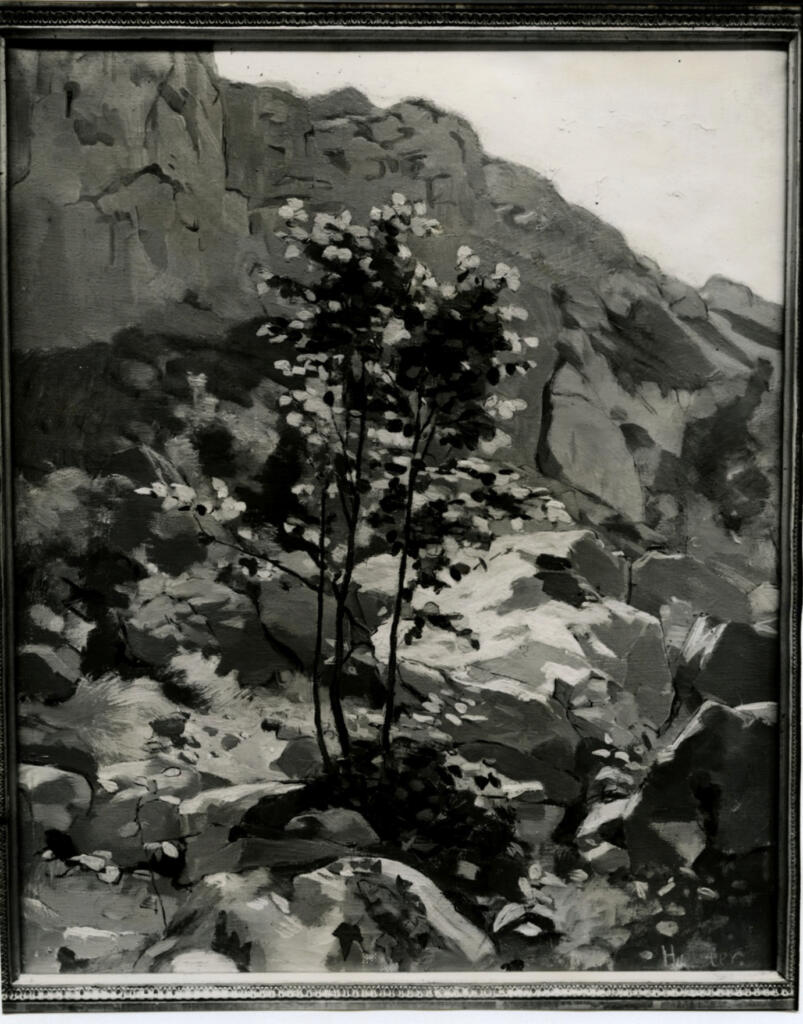 Anonimo , Hodler, Ferdinand , fronte