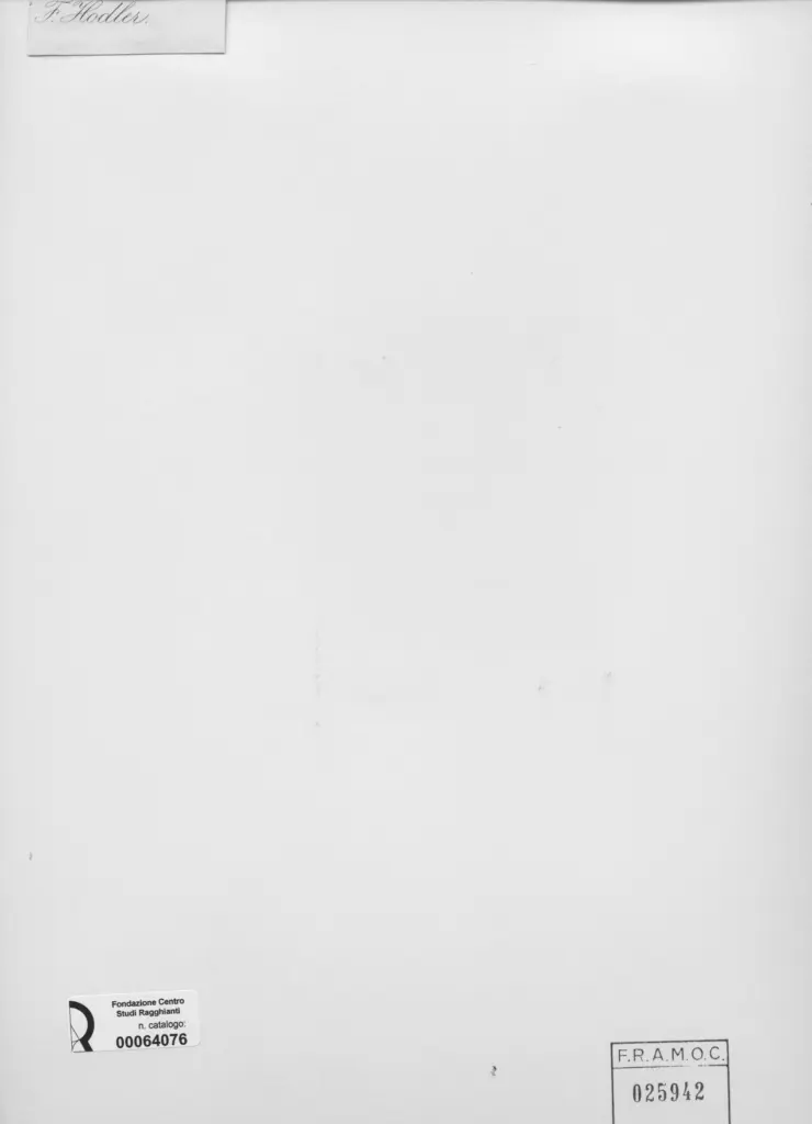 Anonimo , Hodler, Ferdinand - sec. XIX/ XX - Ritratto , retro