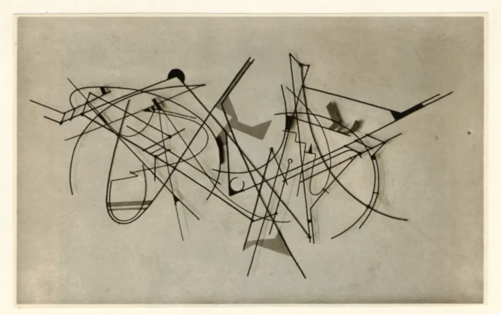 Bodmer, Walter , Drahtbild