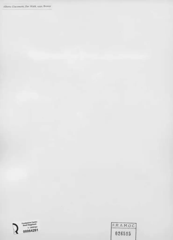 Anonimo, Anonimo , retro