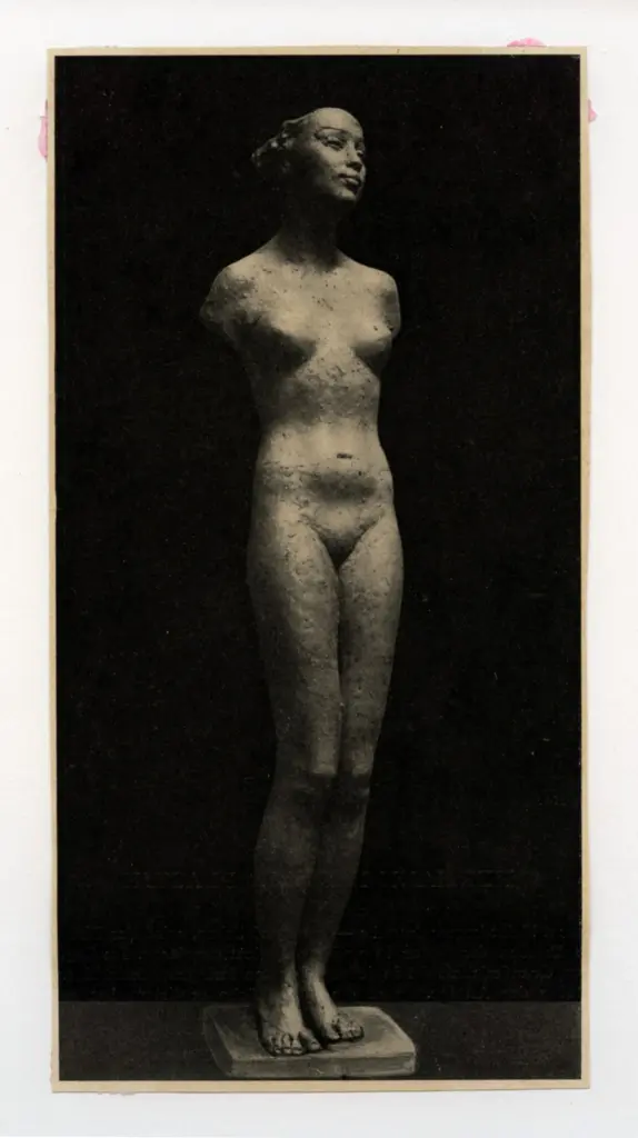 Anonimo, Anonimo , fronte