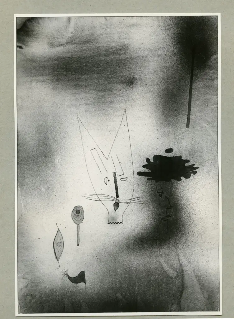 Anonimo, Anonimo , fronte