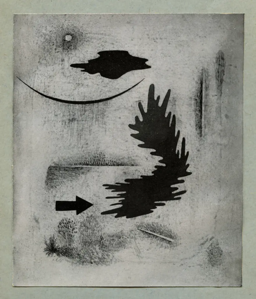 Anonimo, Anonimo , fronte