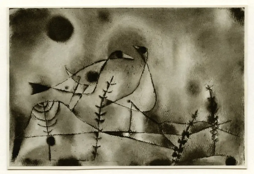 Anonimo, Anonimo , fronte