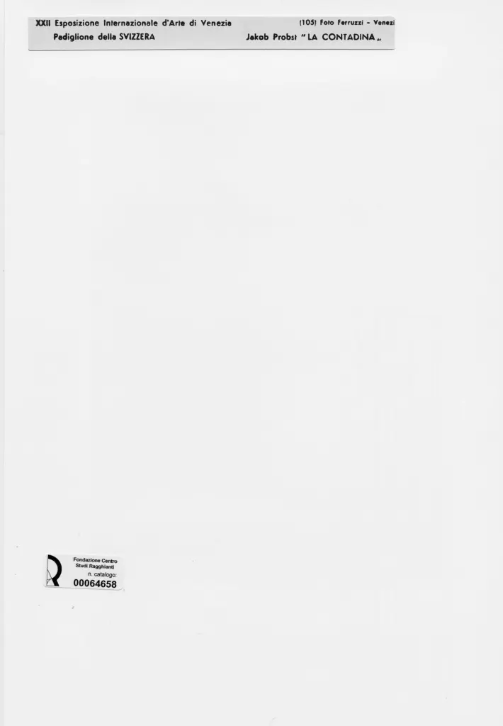 Fotografia Ferruzzi , Probst, Jakob - sec. XX - La contadina , retro