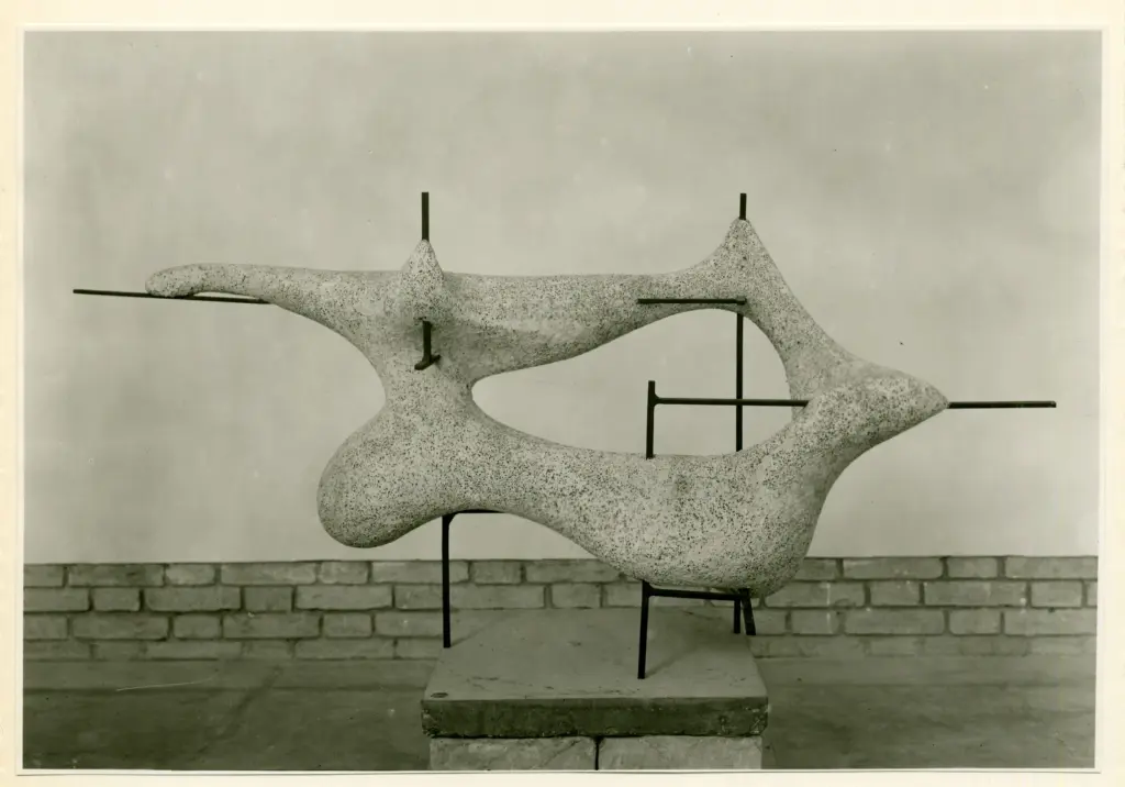 Rehmann, Erwin , Organismo