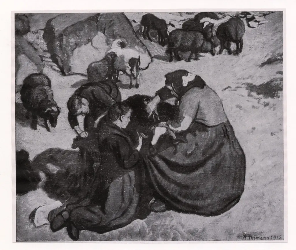 Thomann, Adolf , Schafschur -