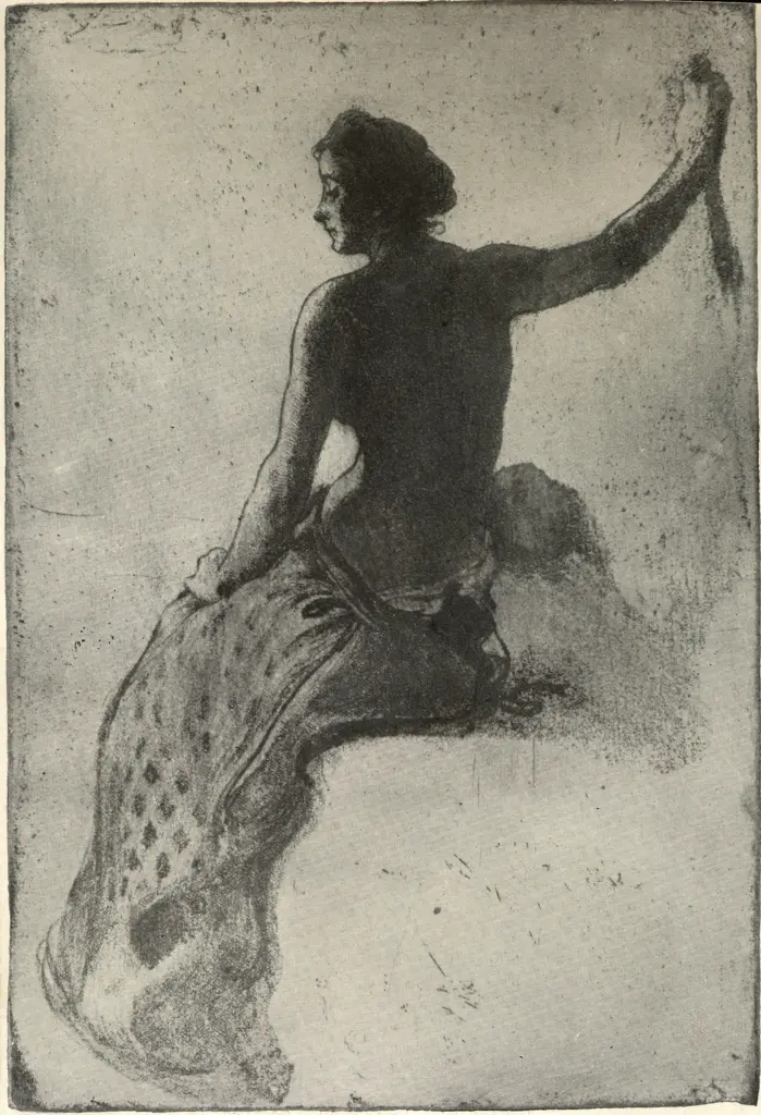 Larsson, Carl , Contro luce