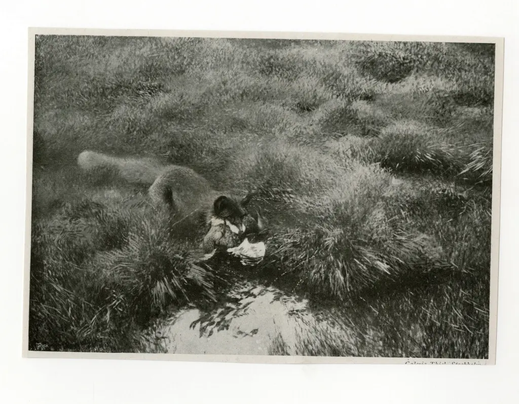 Anonimo , Liljefors, Bruno - sec. XX - Renard chassant , fronte