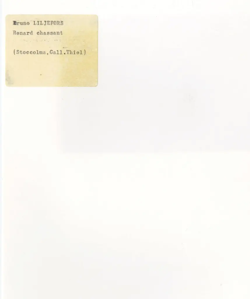 Anonimo , Liljefors, Bruno - sec. XX - Renard chassant , retro